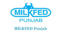Milkfed Punjab clerk syllabus 2021 PDF