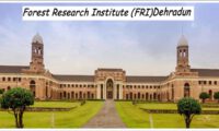 FRI Dehradun Group C Previous Papers PDF