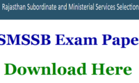 RSMSSB Supervisor Previous Papers
