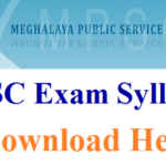 MPSC State Service Exam Syllabus