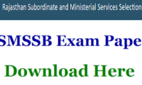Download RSMSSB MVSI Previous Papers PDF