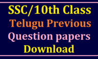 TS SSC Telugu Previous Question Papers